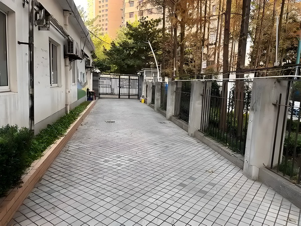 深户怎么样_2025上海城市形象片焕新发布：上海新一刻，城市因你更美好 ：我一句张颖在这里补话